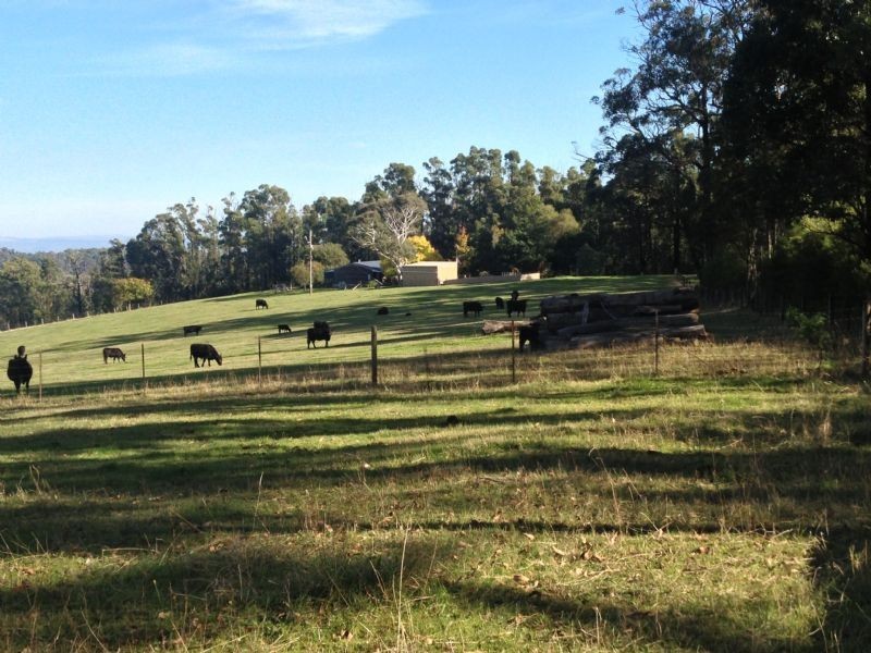 1000 Jeeralang North Road, Jeeralang VIC 3840