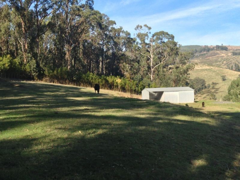 1000 Jeeralang North Road, Jeeralang VIC 3840