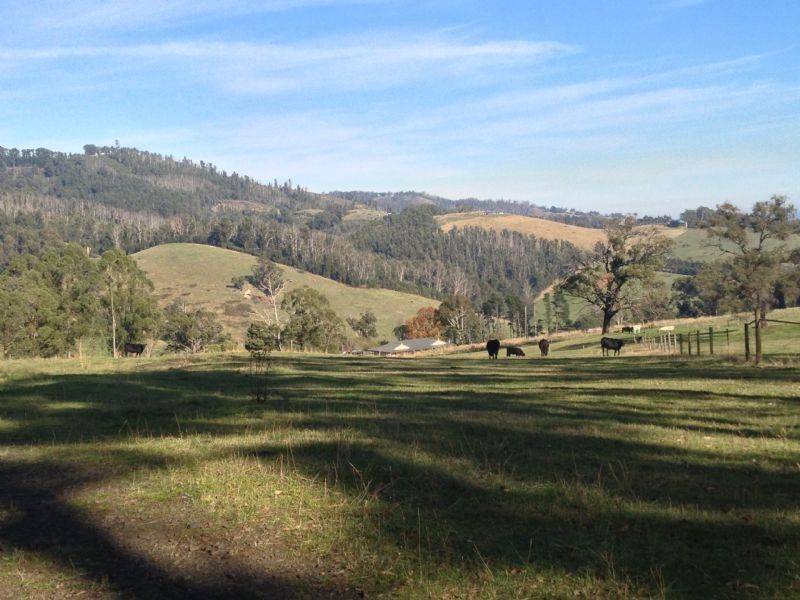 1000 Jeeralang North Road, Jeeralang VIC 3840