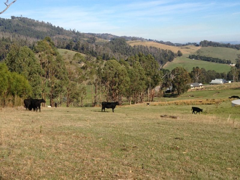 1000 Jeeralang North Road, Jeeralang VIC 3840