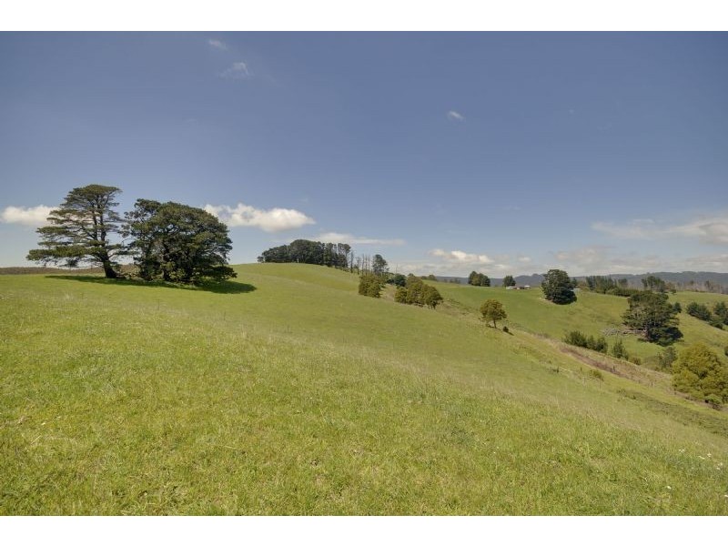 1648 Callignee South Road, Callignee South VIC 3844