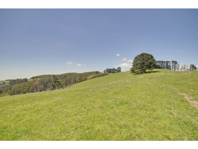 1648 Callignee South Road, Callignee South VIC 3844