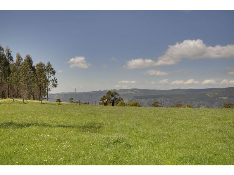 1648 Callignee South Road, Callignee South VIC 3844