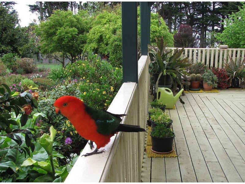 1648 Callignee South Road, Callignee South VIC 3844