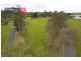 69 Mays Road, Tyers VIC 3844