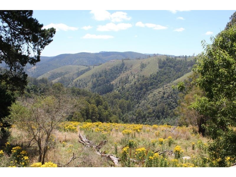 1225 Budgeree Road, Budgeree VIC 3870