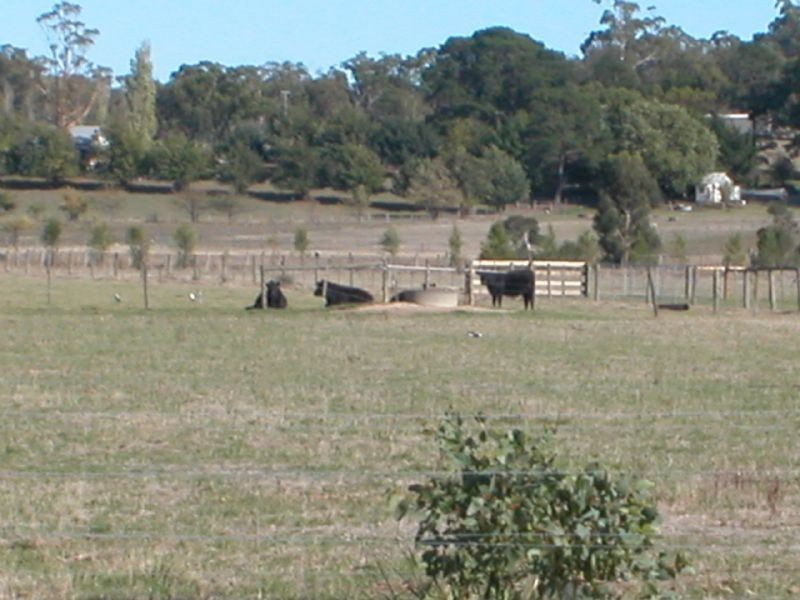 Garfield VIC 3814