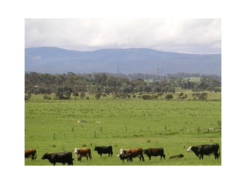 Lot 1 Nash Road, Bunyip VIC 3815