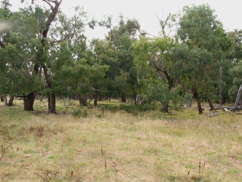 Ripplebrook VIC 3818