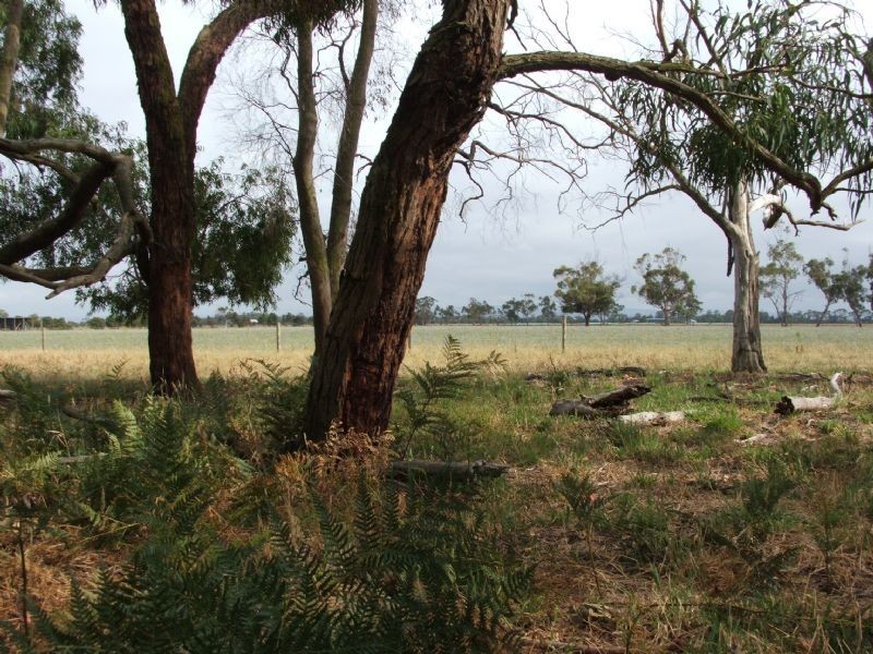 Ripplebrook VIC 3818