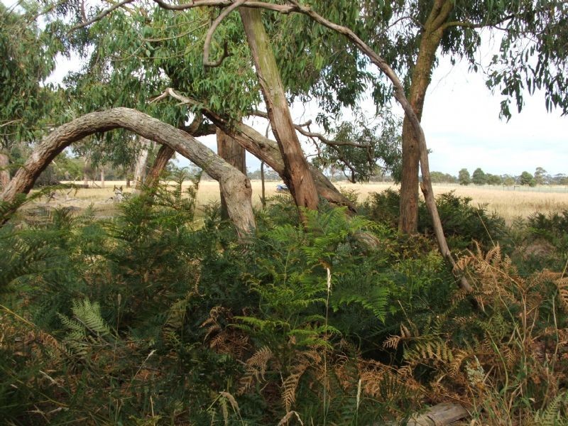 Ripplebrook VIC 3818