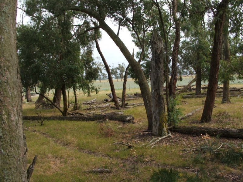 Ripplebrook VIC 3818