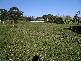 Drouin VIC 3818