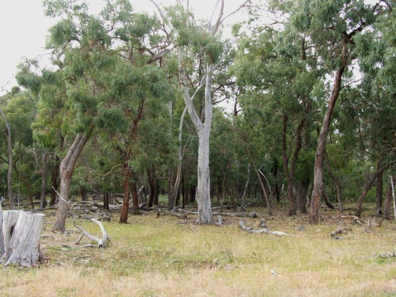 Ripplebrook VIC 3818