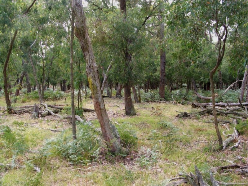 Ripplebrook VIC 3818