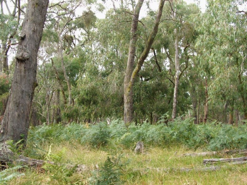 Ripplebrook VIC 3818