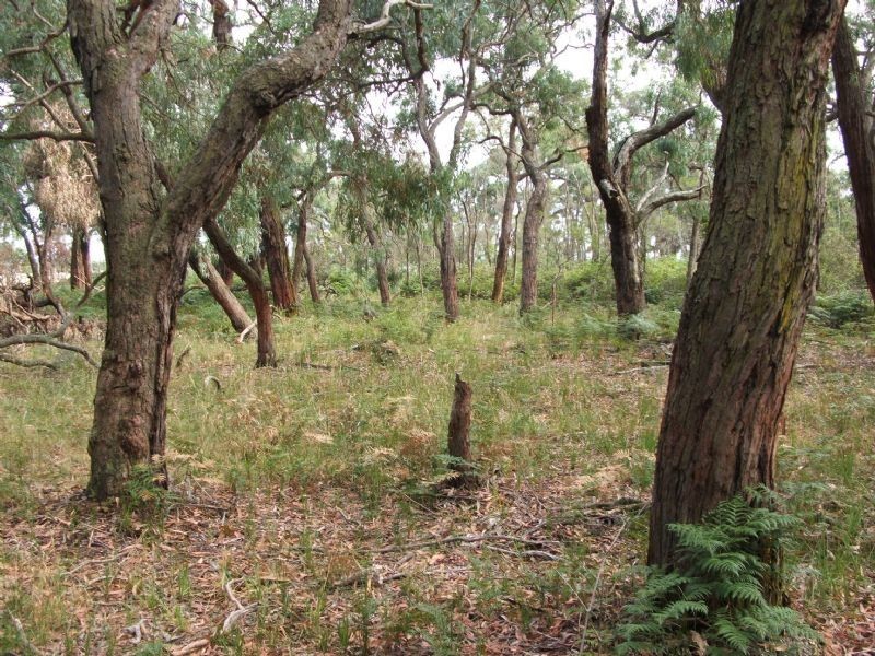 Ripplebrook VIC 3818