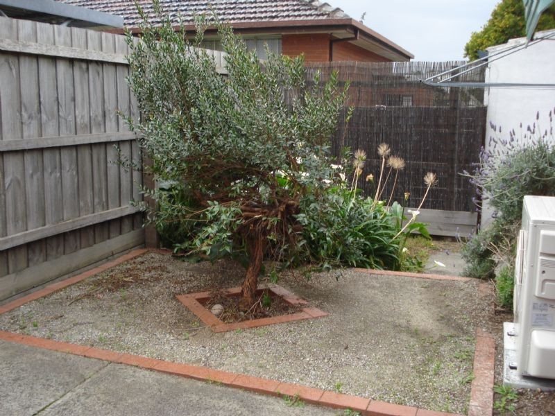 1/45 Margaret Street, Clayton VIC 3168