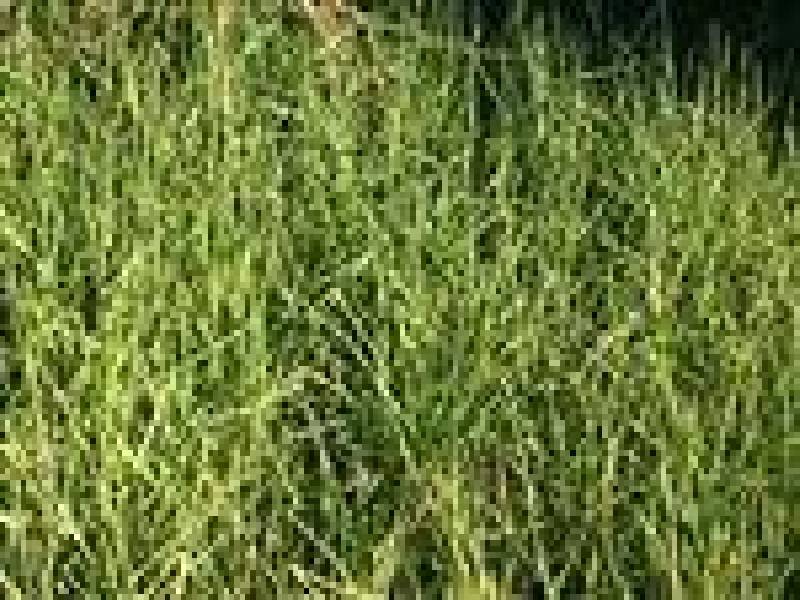 257 Clayton Road, Clayton VIC 3168