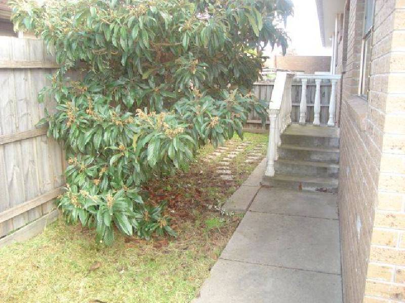 3/16 Browning Avenue, Clayton South VIC 3169