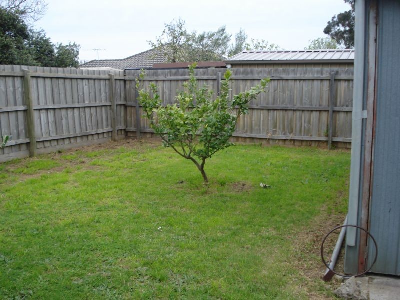 78 Kanooka Grove, Clayton VIC 3168