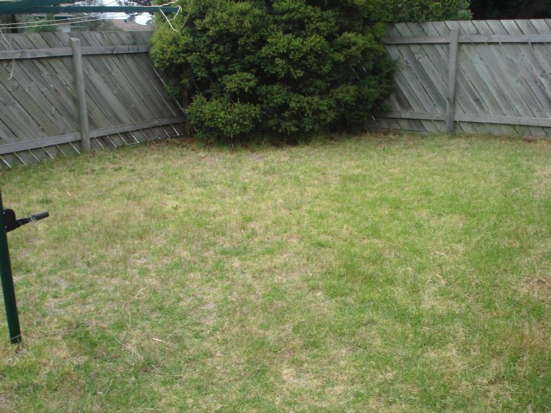 1/17 Knight Street, Clayton VIC 3168