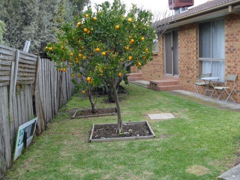 2/5 Edwin Court, Clarinda VIC 3169