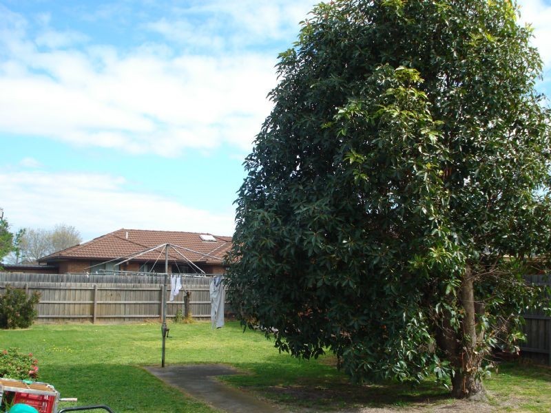 4 Morrison Street, Clayton VIC 3168