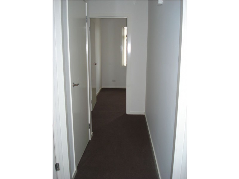 61 Botanic Drive, Clayton South VIC 3169