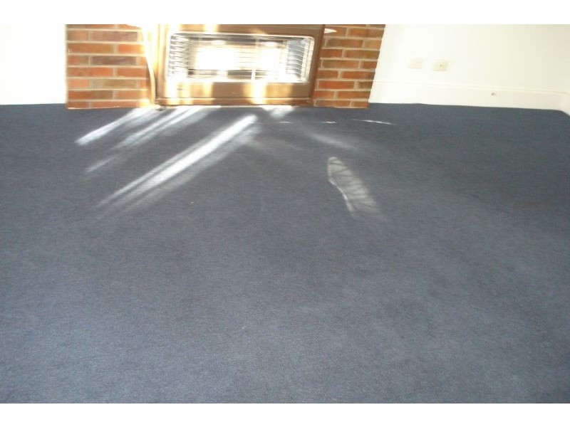 20 Springfield Avenue, Clayton South VIC 3169