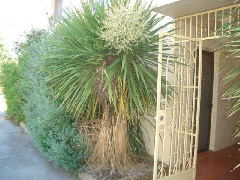 Room 2, 2/14 Bettina Street, Clayton VIC 3168