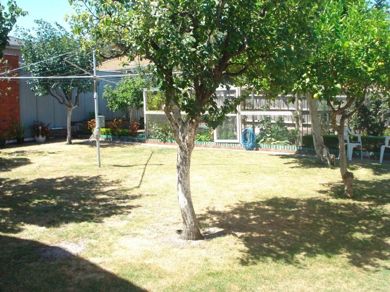 204 Clayton Road, Clayton VIC 3168