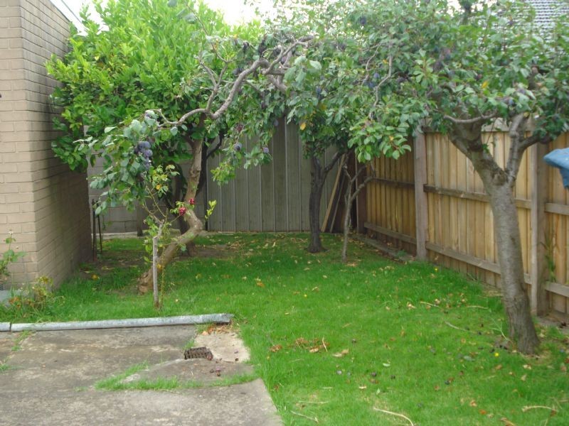 45 Frank Avenue, Clayton VIC 3168