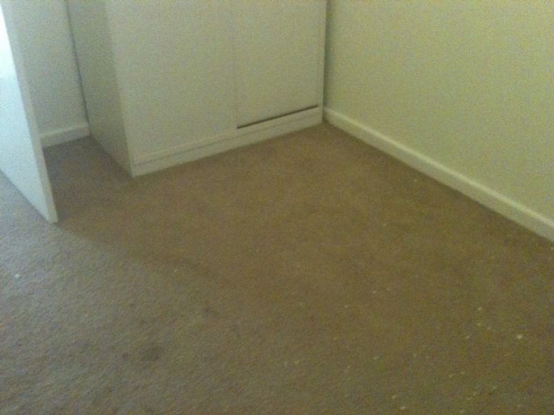 Room 3/14 Alice Street, Clayton VIC 3168