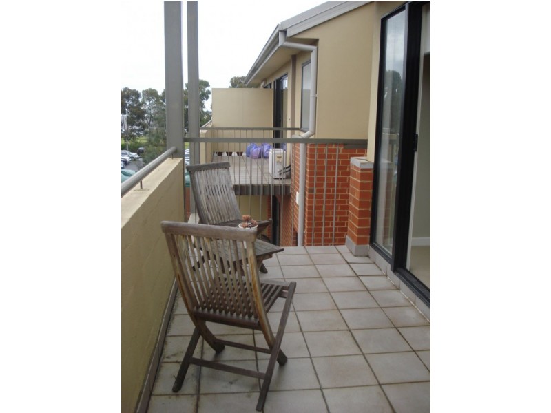 31/1 Greenfield Drive, Clayton VIC 3168