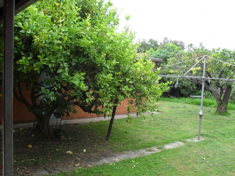 11 Cleary Court, Clayton South VIC 3169