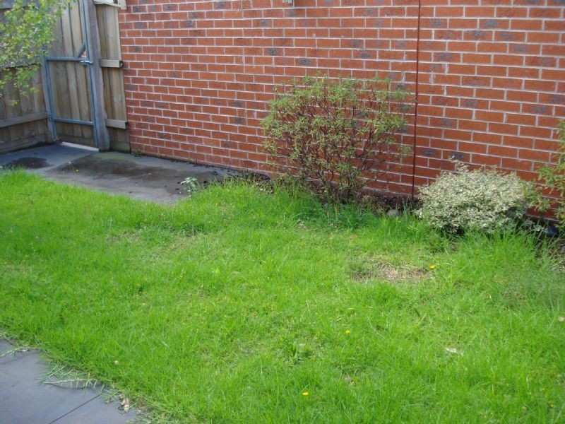 2/13 Rosebank Ave, Clayton South VIC 3169