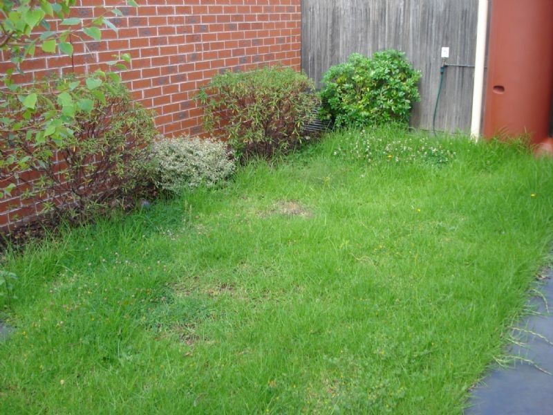 2/13 Rosebank Ave, Clayton South VIC 3169