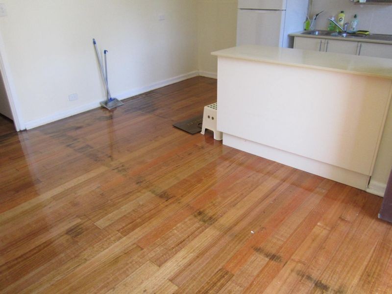 3/2 Thompson Street, Clayton VIC 3168