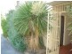 2/14 Bettina Street, Clayton VIC 3168