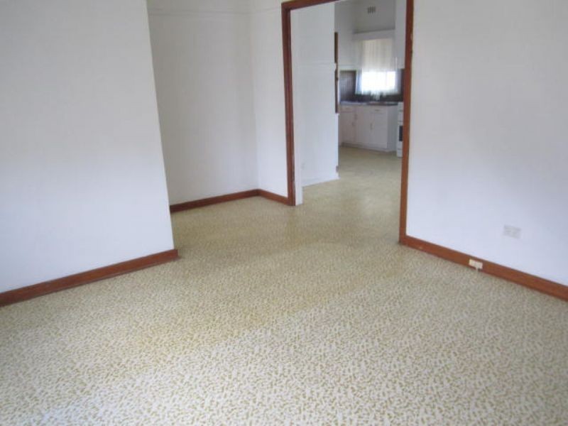 17 Harlington Street, Clayton VIC 3168