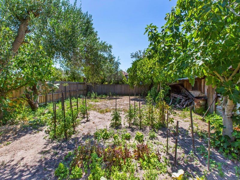 7 Lillian Street, Clayton VIC 3168