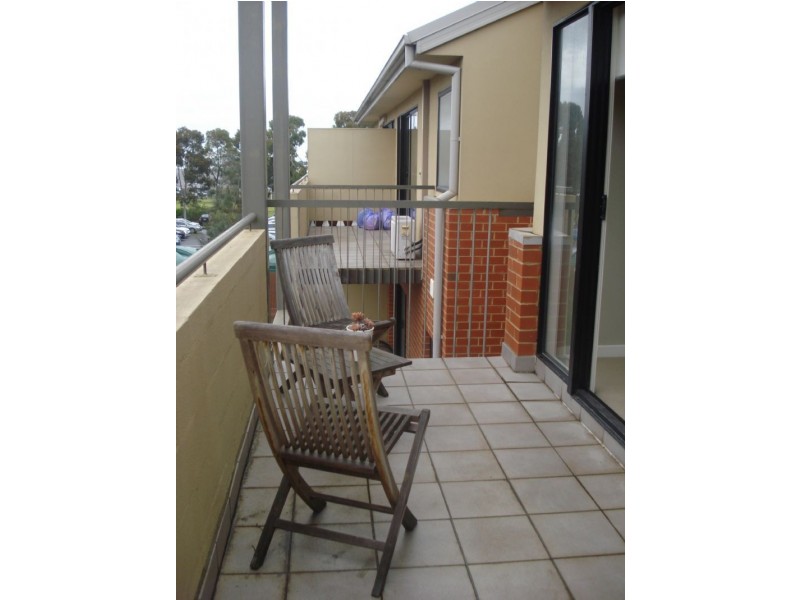31/1 Greenfield Drive, Clayton VIC 3168