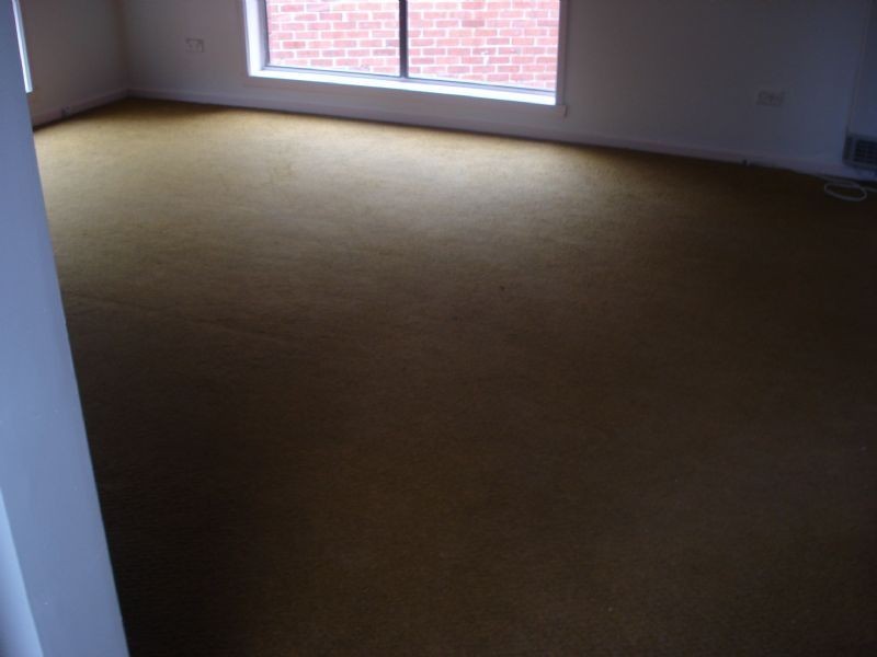 2/2 Howard Court, Clayton VIC 3168