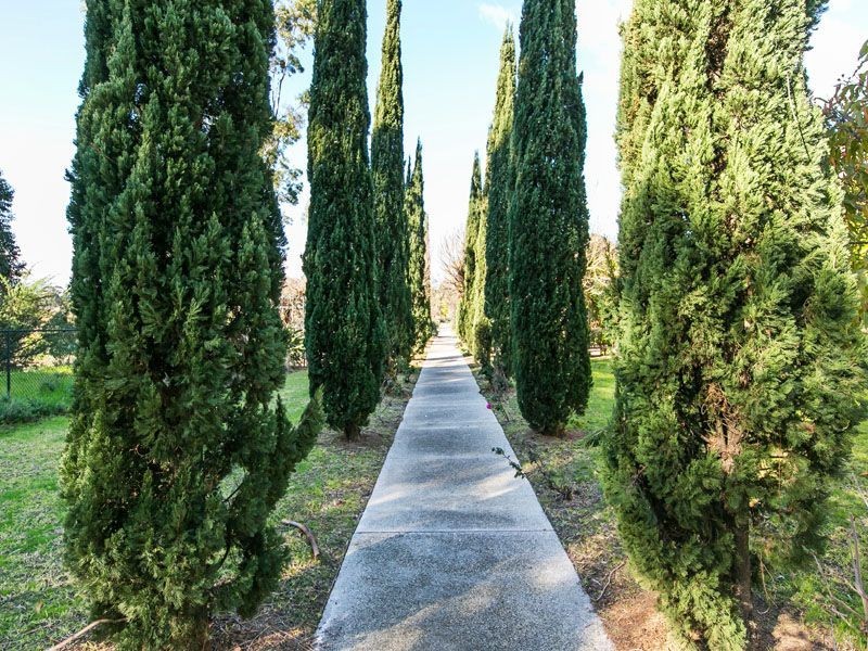 1/1213 Centre Road, Clayton VIC 3168