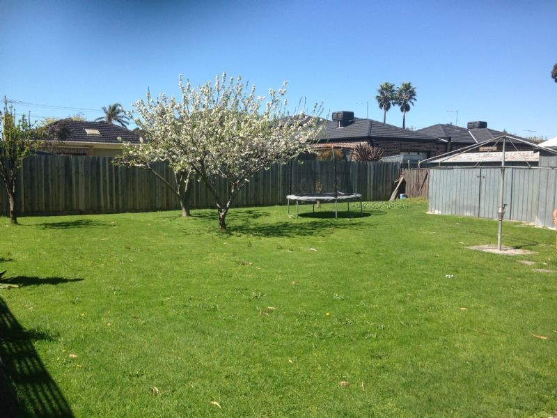 38 Milton Ave, Clayton South VIC 3169