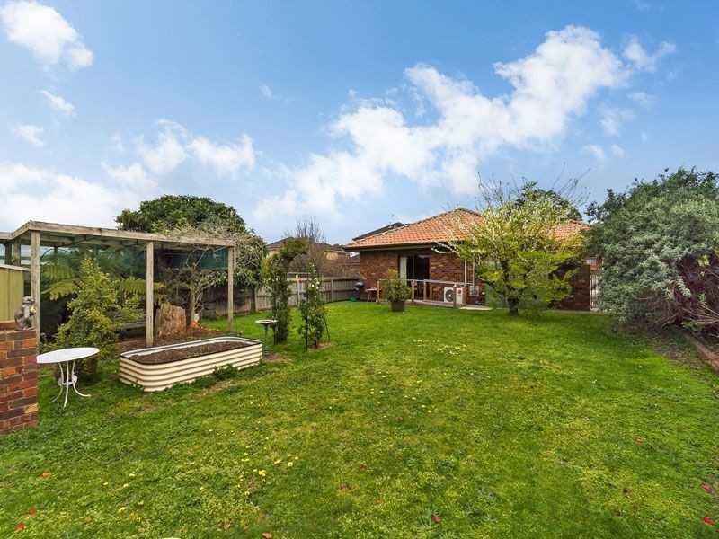 6 Lindsay Street, Clayton VIC 3168