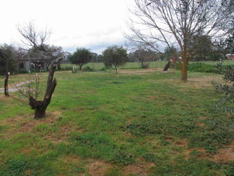 49 Neill Street, Corowa NSW 2646