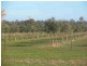 Lot Lot 2, – Corona Road, Corowa NSW 2646