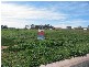 Lot Lot 2, 0 BANKSIA DRIVE, Corowa NSW 2646